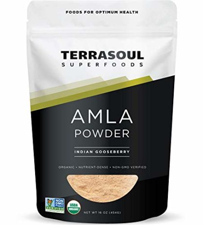 Terrasoul Superfoods Organic Amla Berry Powder (Indian Gooseberry) -  16 Oz